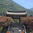 밀양 표충사 密陽 表忠寺 이미지