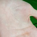 썬골프연습장 이미지