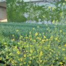 중흥정미소 이미지