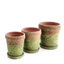 실내초등학교 이미지