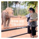 코끼리카프라자 | [푸꾸옥 여행] 북부 가볼만한 곳 &#34;빈펄 사파리 푸꾸옥&#34; - 아이랑 다녀온 후기 / 동선(루트) 추천