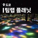 일본 도쿄 가족여행 추천 실내 놀거리 여행지 &lt;팀랩 플래닛 도쿄&gt; 예약 가격 후기