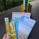 치악산자연휴양림 | 치악산 자연휴양림 황토방 7호실 숙박만 하고 온 솔직후기