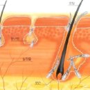 바디플레이스 이미지