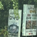 갈낙집 | 일산 애견 동반 식당, 쌈밥 보양식 추천, 갈낙집 방문 후기