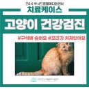 길음동물병원 이미지