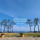 정암공인중개사사무소 이미지