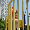 장미꽃길 1 이미지