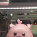 파리바게트센텀점 이미지