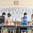 상곡초등학교 이미지