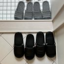 studio oso(오소) | [경주]4계절 미온수 수영이 가능한 독채 풀빌라 '스튜디오 오소'