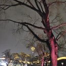 팔달공영주차장 | 행궁 장안동공영주차장 야간, 주말 후기, 행궁동 야경 가볼 만한 곳