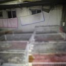 나주2농장 이미지