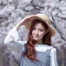 현진유통 이미지