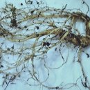 (주)이플러스원 이미지