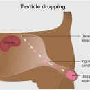 박순석동물메디컬센터 이미지