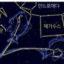 물고기자리 - 안산시 상록구 | 물고기자리