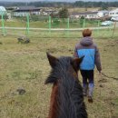 어승생승마장 이미지