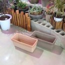 소보로인 이미지