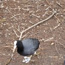 교과서박물관 화장실 이미지