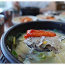 제주순풍해장국함덕점 이미지