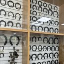 한국마사회 새마을금고 구내식당 | 서울(과천)렛츠런파크 경마공원 버스투어 아이랑, 예약 성공 팁!