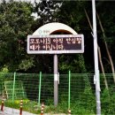 재난문자전광판 이미지