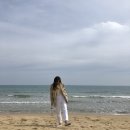 티유몰 | [codeu] 코드유 무드팬츠 (feat. 몰 버튼티)