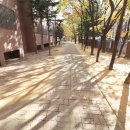 샘물 공인중개사사무소 이미지