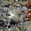 추억의껍데기 이미지