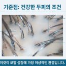 세란의원 네이버블로그