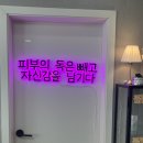 경기도 수원시 권선구 구운로85번길 1 | 수원블랙헤드 제거, 블랙헤드코피다 추천시술 수원코모공축소