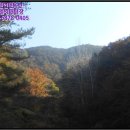 겸면 흥복 이미지