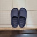 스테이 혜윰 이미지