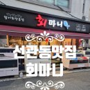 회마니해물마니 | 신관동맛집 회마니에서 모듬회세트 먹어본 후기(활어회전문점)
