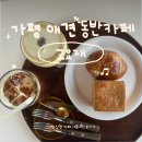 가평한옥애견펜션 | 가평 애견동반 한옥카페 고요재 내돈내산 후기