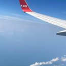 월차 | 월차 없이 떠나는 3박4일 홍콩 자유여행 4일차 홍콩 쇼핑리스트 제니쿠기 구매후기