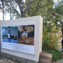 아토스테이 | 안국역 편강율 플래그십 | 티하우스 힐링 후기 (겨울 보습 + 조용한 휴식 장소)