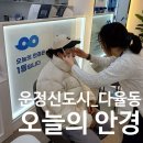 월드안경콘택트 | 운정 해오름) 파주운정신도시안경전문점_'오늘의안경