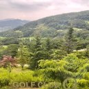 2H 골프 스튜디오 | 🏌️‍♂️ 갑작스러운 라운딩이 준 소확행_안성골프클럽Q 2코스 18홀 공략법! 서울근교 숨은 명소!