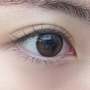 안경나라사창점 위드렌즈 이미지