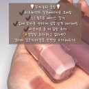 다굽자 - 화성시 | 다굽자