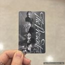 풍선비행기군단 | 티켓팅 앞두고 쓰는 2024 크리스마스 콘서트 클콘 The Present 후기(고척돔 F5구역 시야, 음향, 셋리스트)