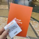 효정가든 | 혼자 다녀온 춈미 종친회 'Mingle with Chommy' 후기