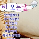 행복한 약초