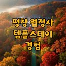 길스테이 | 평창 월정사, 전나무 숲길 트레킹과 템플스테이 후기
