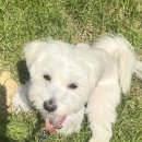 버디그루밍 이미지