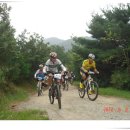 아우토반 이미지