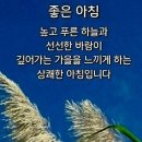 조은아침 - 구미시 | 조은아침
