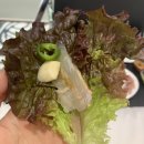 영천 횟집 금창수산 - 가성비 좋은 회포장 전문점에서 대방어 포장